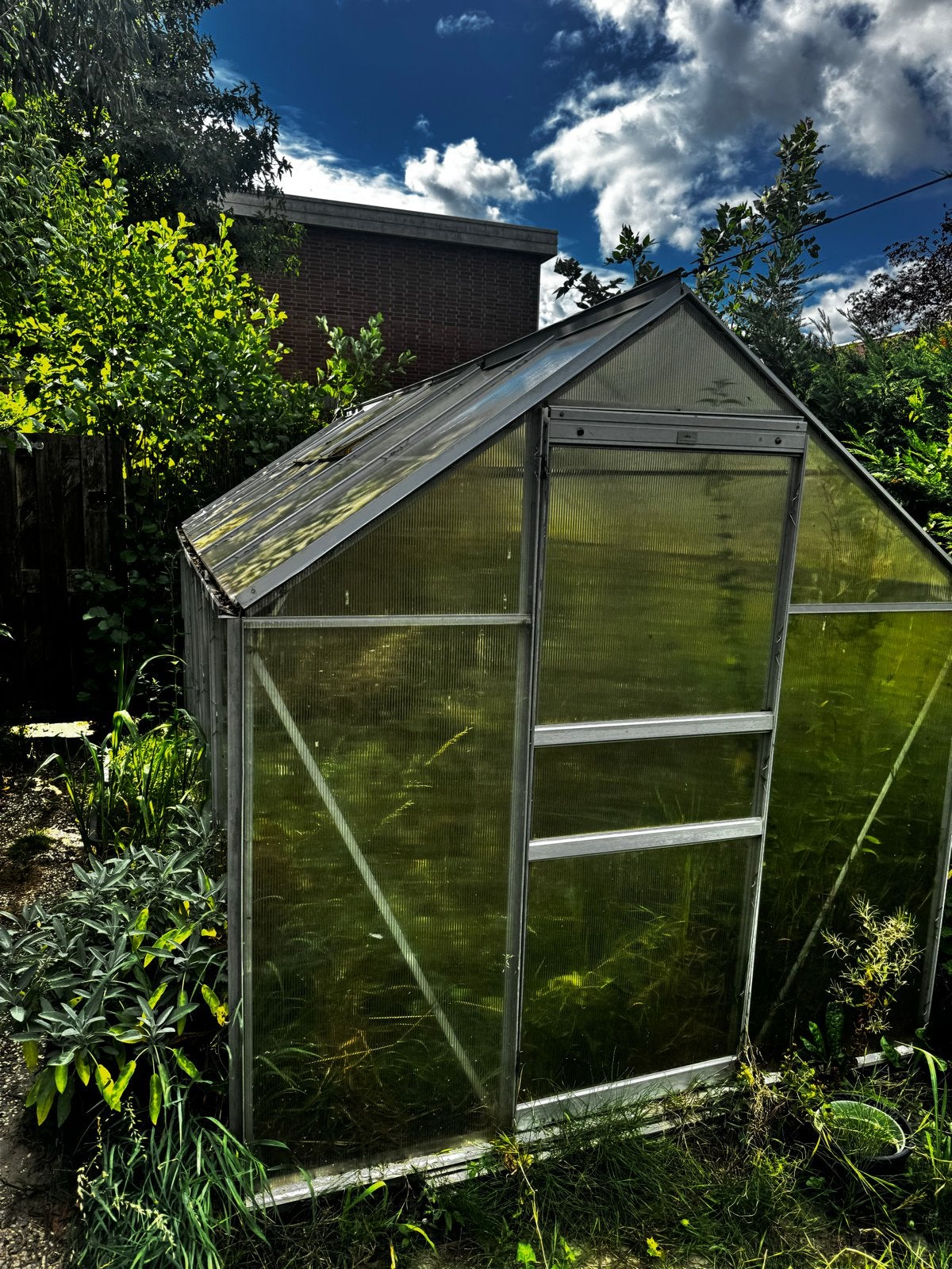 Tuinkas 380x190x195cm met 4 Dakramen + Fundering, Ophalen, Kweekkas, Aluminium, Polycarbonaat