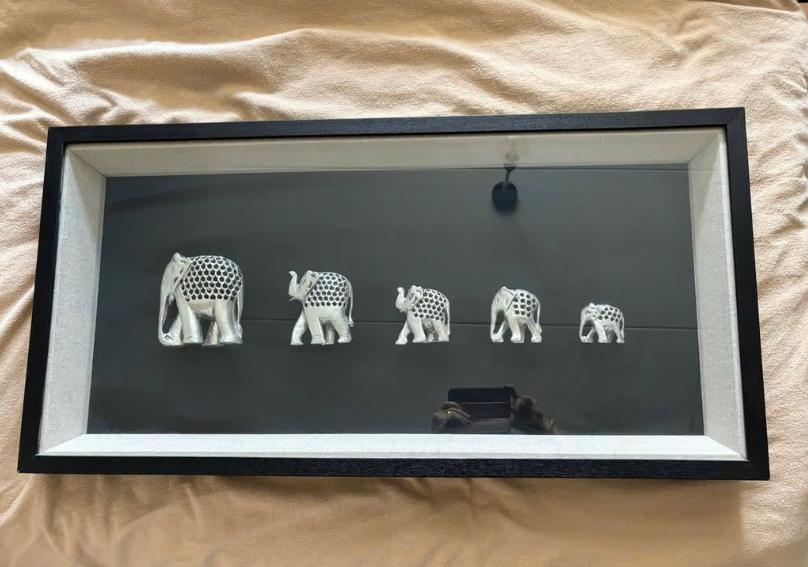 Prachtige wanddecoratie olifantenfamilie, Ophalen
