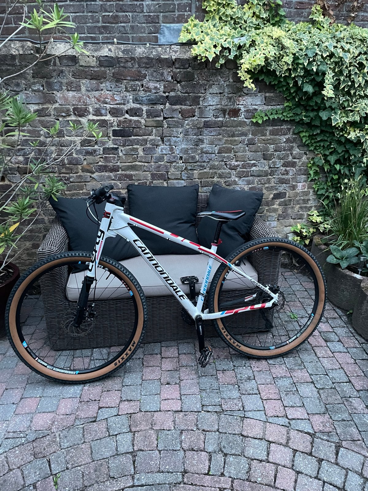 Cannondale F29 Mountainbike - Hardtail met Lefty voorvork, Gebruikt, Hardtail, Heren, Schijfrem