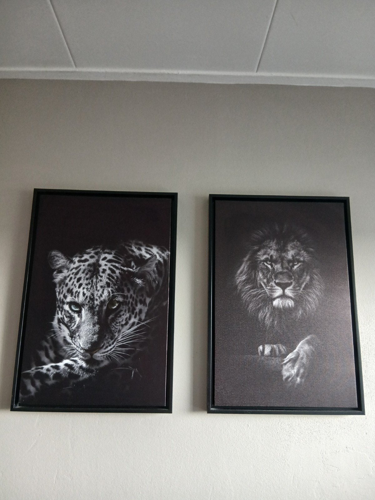 Panter & leeuw decoratie, Ophalen of Verzenden, Zo goed als nieuw, Minder dan 50 cm, Schilderij