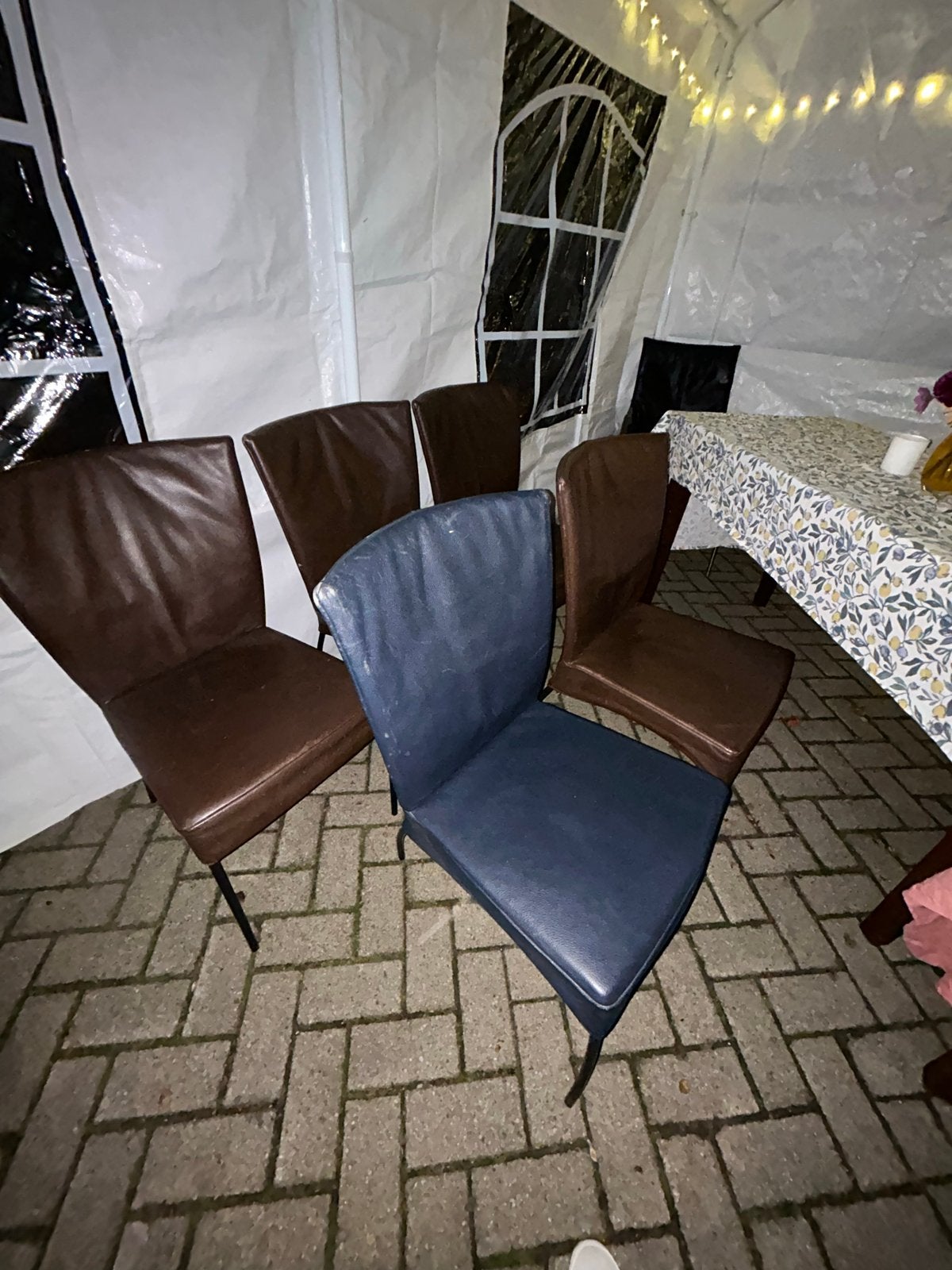 Montis Spica set van 5 eetkamerstoelen - 4 bruin, 1 blauw, Ophalen, Gebruikt, Bruin, Leer