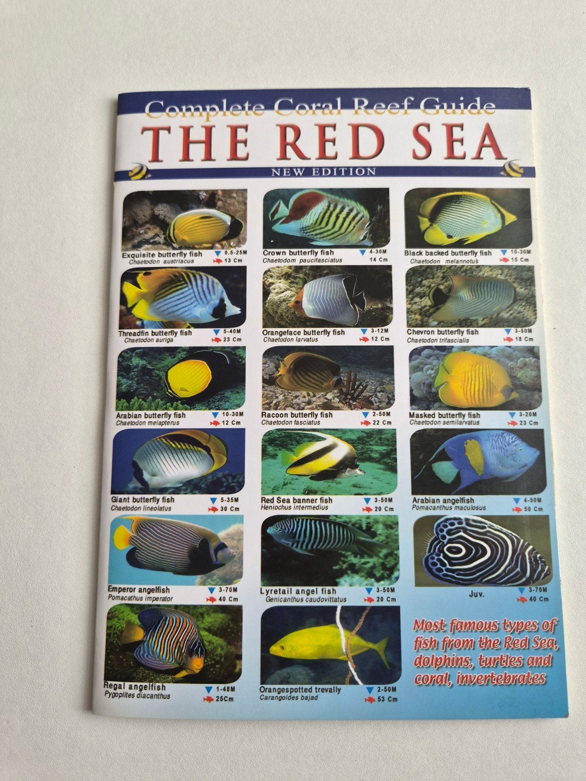 The Complete Red Sea Coral Reef Guide, Ophalen of Verzenden, Zo goed als nieuw, Vissen
