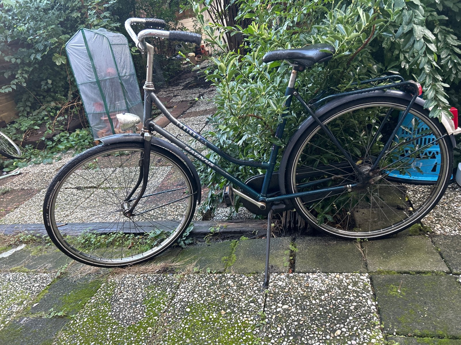 Mooie Batavus fiets met lage instap en nieuwe banden, Fietsen en Brommers, Ophalen of Verzenden, Gebruikt, Batavus, (Extra) lage instap