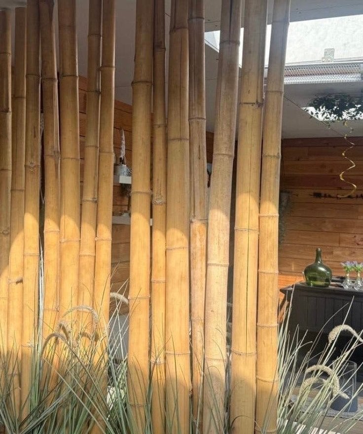 Bamboe palen - 38 stuks, 216cm, 4-6cm diameter, Ophalen, Zo goed als nieuw, 180 tot 250 cm, Palen