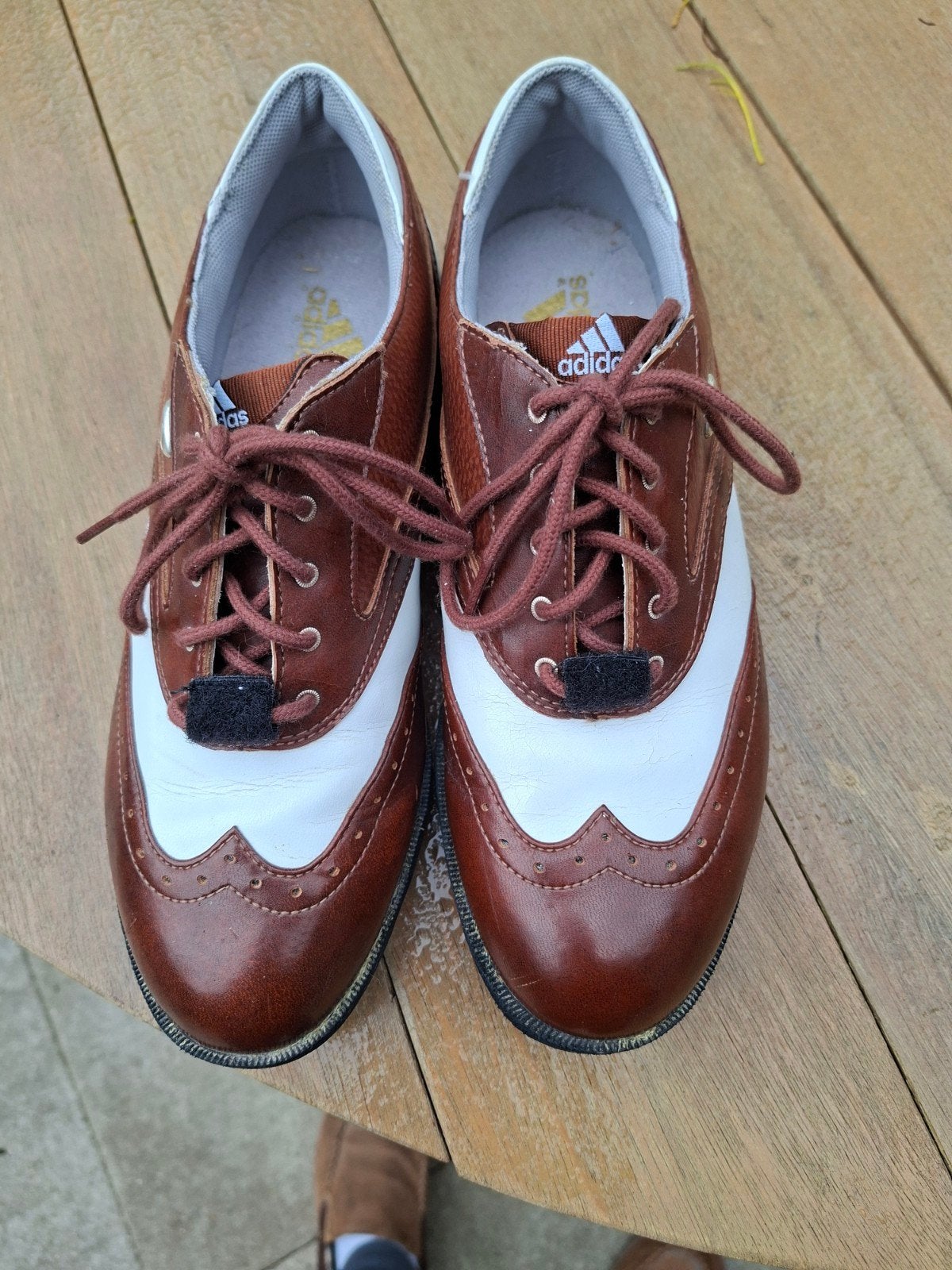 Te koop Adidas dames golfschoenen, Ophalen, Zo goed als nieuw, Schoenen, Overige merken