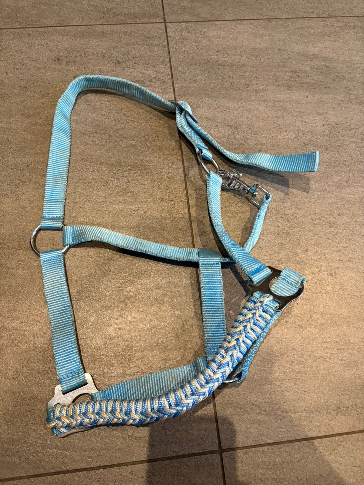 Lichtblauwe nylon halster maat cob, Ophalen of Verzenden, Zo goed als nieuw, Blauw, Halster