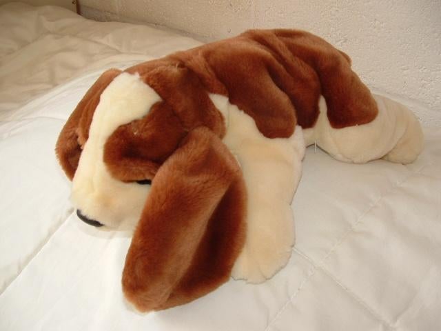EDDY TOYS HOND PLUCHE WIT/BRUIN MET LANGE OREN ZWA, Ophalen of Verzenden, Nieuw, Overige typen