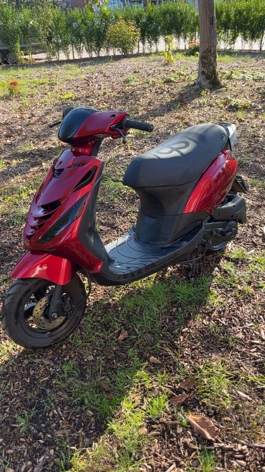 Piaggio Zip Scooter - Rood, Fietsen en Brommers, Maximaal 45 km/u, Zip, Ophalen of Verzenden, Zo goed als nieuw