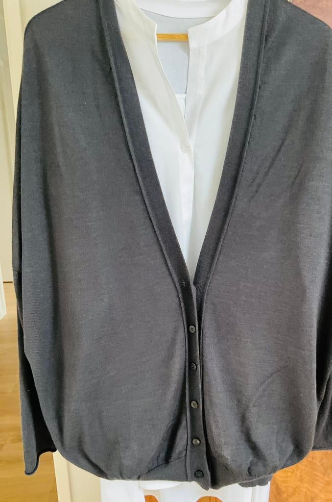 SCHITTEREND  CASHMERE/ ZIJDE VEST ISABEL BENENATO, Kleding | Dames, Verzenden, Zo goed als nieuw, Grijs