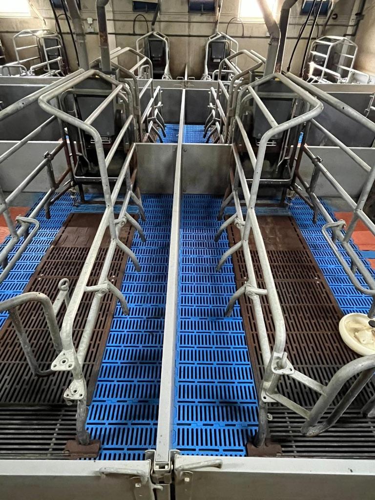 Kraamhokken [264], Dieren en Toebehoren, Boekhorst Trading, Info@boekhorst.com, Singel 16