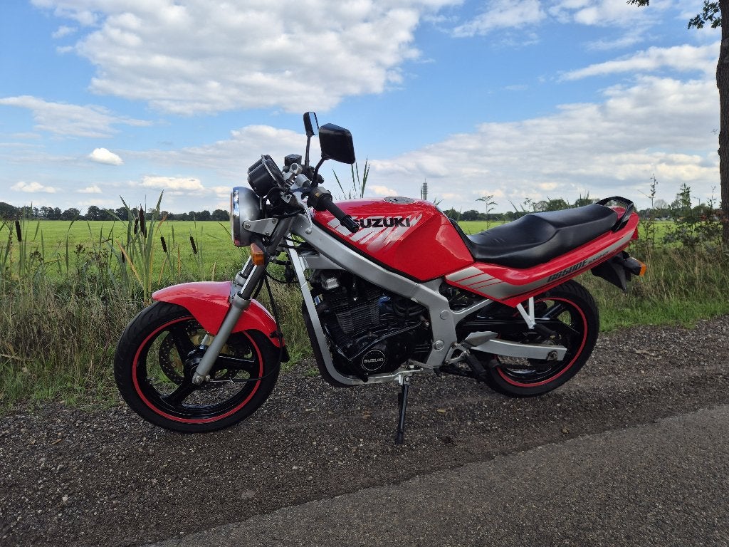 Suzuki GS500E  (€450,-), Motoren, 2 cilinders, Particulier, Meer dan 35 kW, Minimaal motorrijbewijs A2