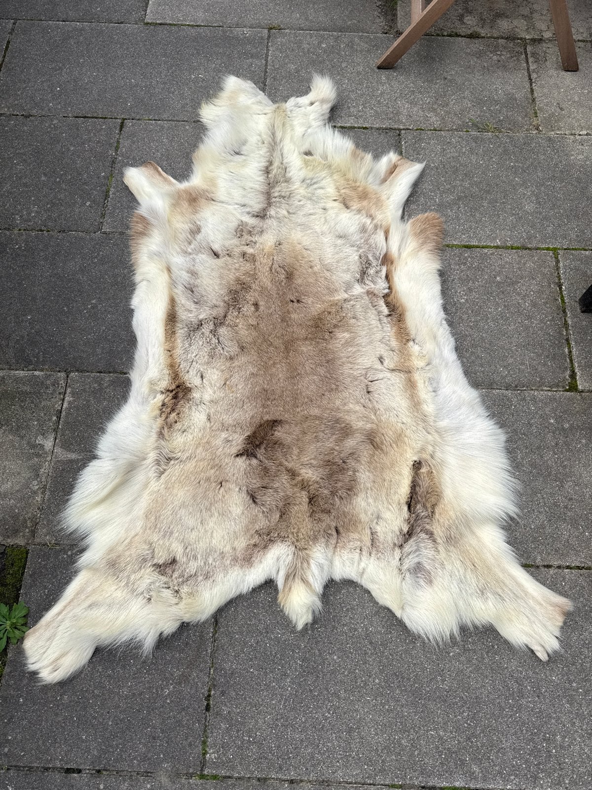 100% echt rendierhuid kleed, Ophalen, Beige, Natuurlijk materiaal, Landelijk