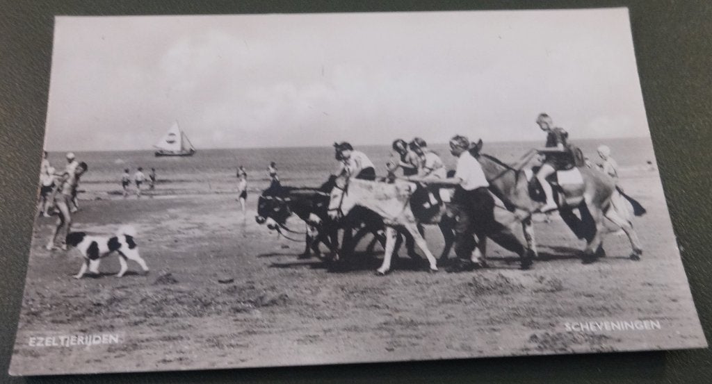 Scheveningen - Ezel rijden - KDh01, Ophalen of Verzenden, 1940 tot 1960, Gelopen, Zuid-Holland