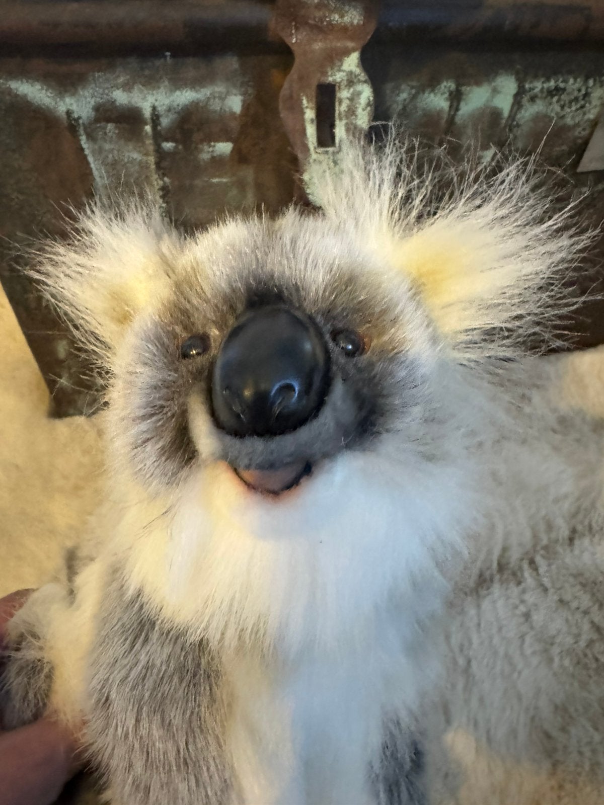 Hansa knuffel koala beer super mooi en realistisch ong 25 cm, Ophalen, Zo goed als nieuw, Beer