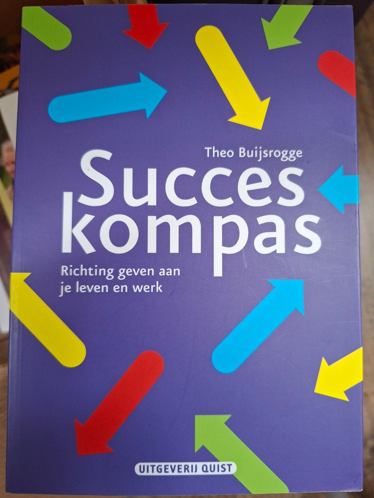 Theo Buijsrogge - Succeskompas, Theo Buijsrogge, Ophalen of Verzenden, Ontwikkelingspsychologie, Zo goed als nieuw