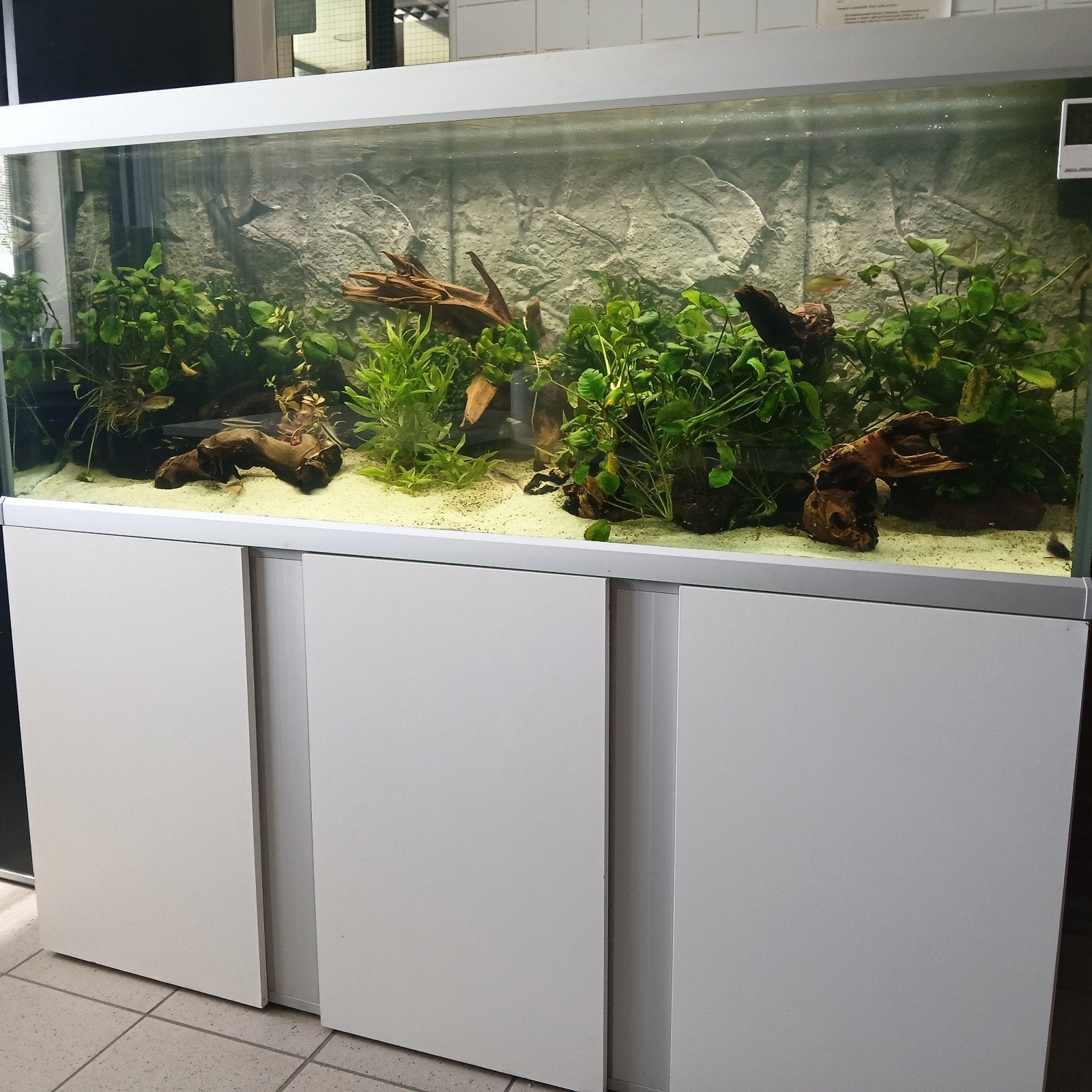 Akvastabil Fusion 160 cm (576 l), Dieren en Toebehoren, Ophalen, Leeg aquarium