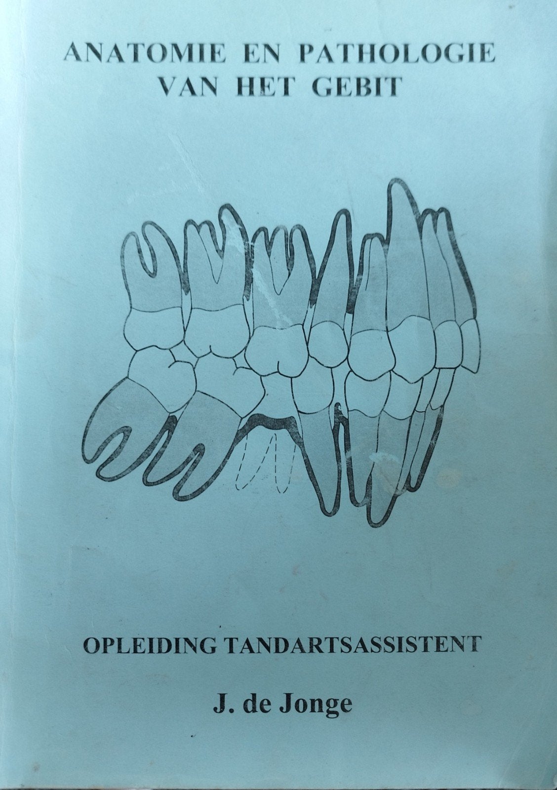 Anatomie en Pathologie van het Gebit - Tandartsassistent, Gelezen, Ophalen of Verzenden, MBO, J. de Jonge