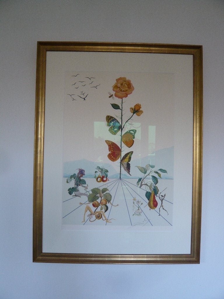 Litho Salvador Dalí Flordalí II La Rose Papillon met UV glas, Antiek en Kunst, Ophalen, Gelimiteerde oplage, Lithografie, Dieren en Natuur