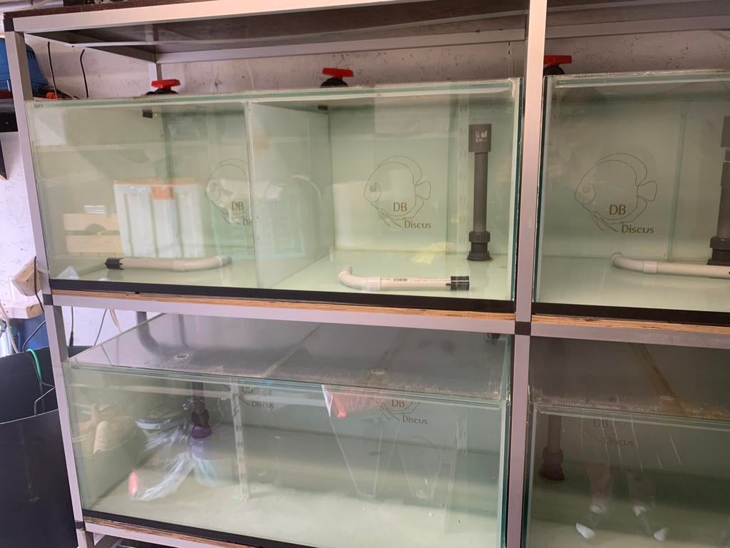 Aquarium Stelling compleet, Ophalen of Verzenden, Zo goed als nieuw, Leeg aquarium