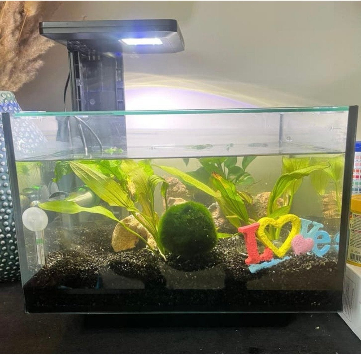 Aquarium Qubiq 20, Dieren en Toebehoren, Ophalen, Zo goed als nieuw, Gevuld zoetwateraquarium