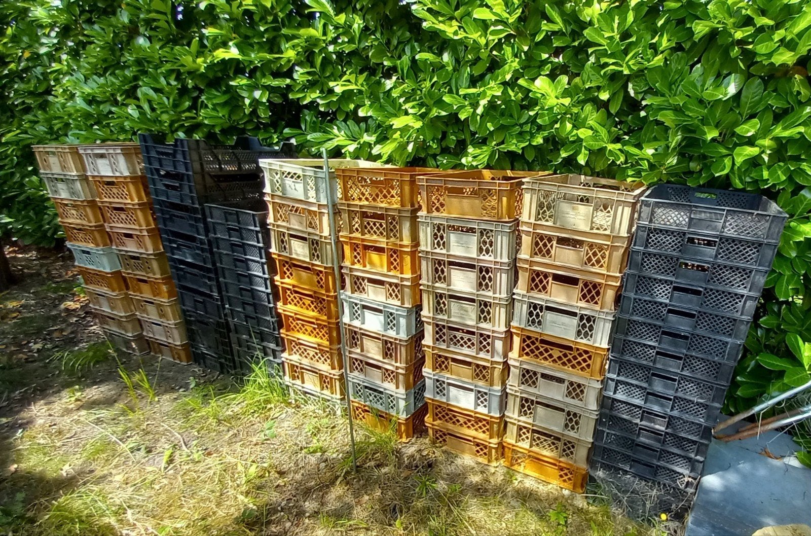Stapelbare opberg kratjes kunststof, Doe-het-zelf en Verbouw, Kratten en Dozen, Ophalen, Gebruikt, 40 tot 60 cm, 50 tot 75 cm