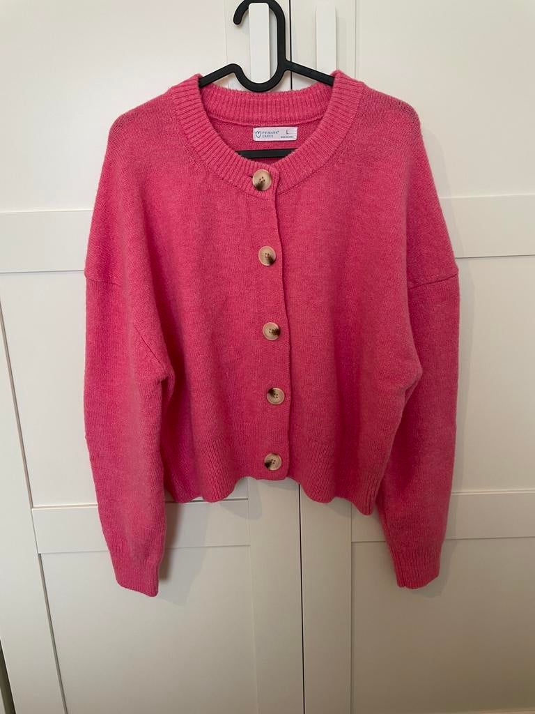 Primark Trui Dames, Ophalen of Verzenden, Zo goed als nieuw, Maat 42/44 (L)