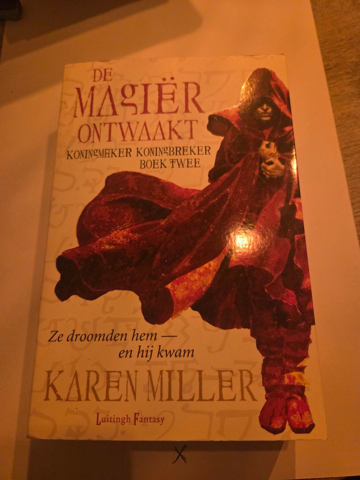 De Magiër Ontwaakt - Koningsmaker Koningbreker Boek Twee, Boeken, Ophalen of Verzenden, Gelezen, Karen Miller