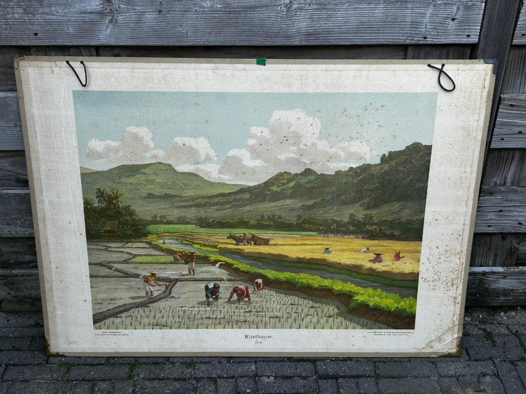 Rijstvelden op Java, Ophalen of Verzenden, Aardrijkskunde
