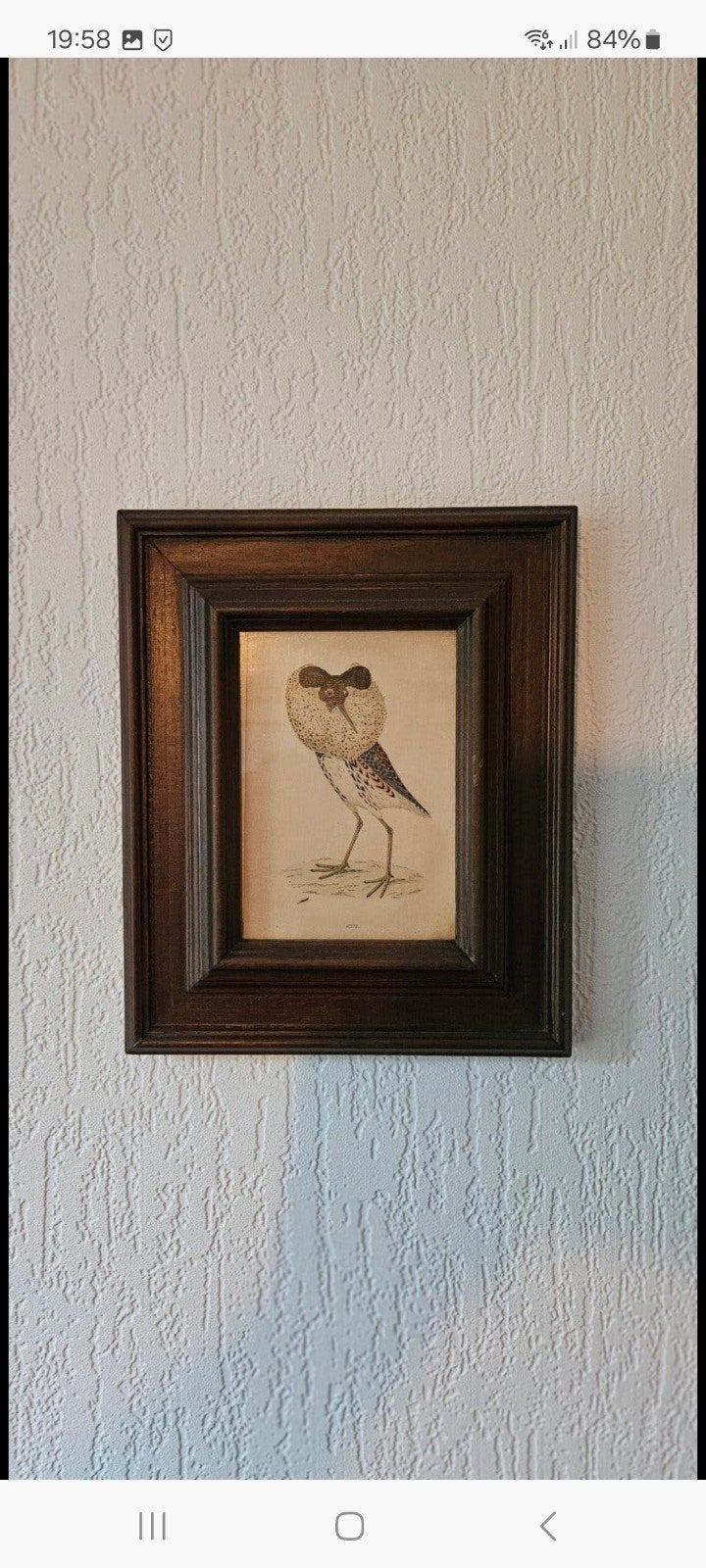 Set van 3 ingelijste vogel prenten, Ophalen, Prent, Ingelijst