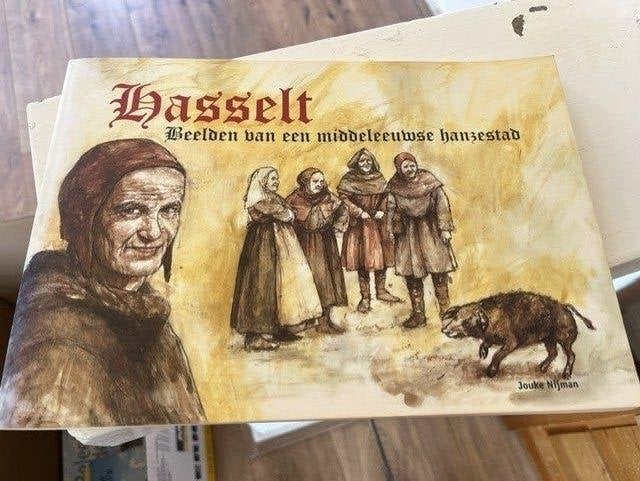 Boek Hasselt Beelden van een Middeleeuwse Hanzestad, Boeken, Ophalen of Verzenden, Zo goed als nieuw