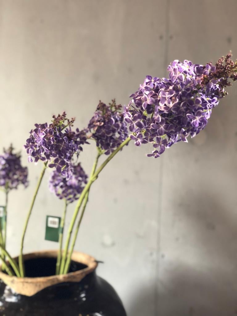 NIEUW BINNEN: PRACHTIG SERING tak kleur paars Silka flowers, Binnen, Nieuw, Ophalen of Verzenden, Nvt