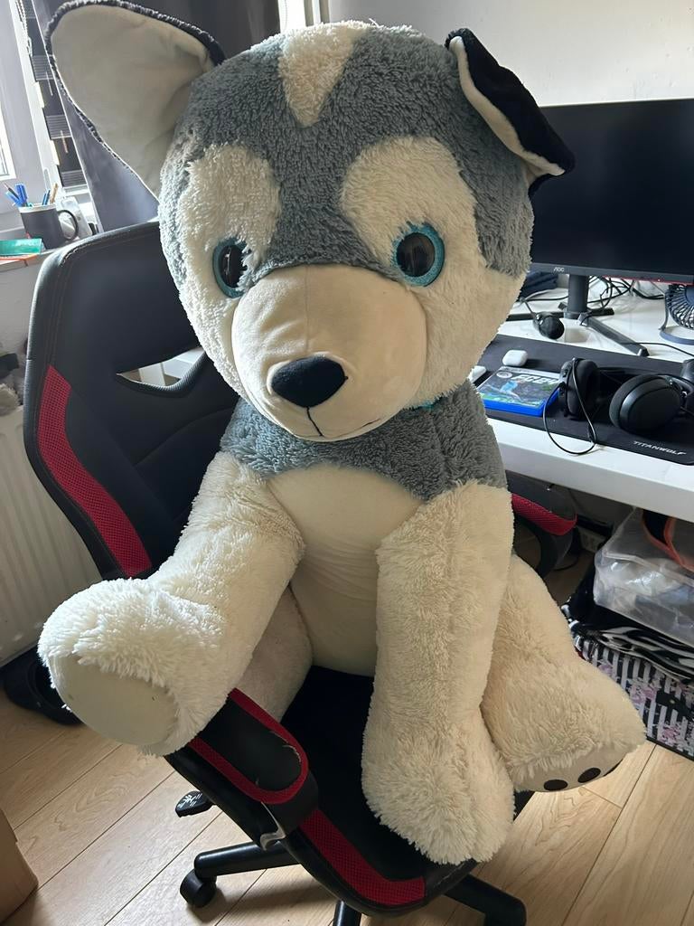 Grote husky knuffel, Ophalen, Zo goed als nieuw, Overige typen