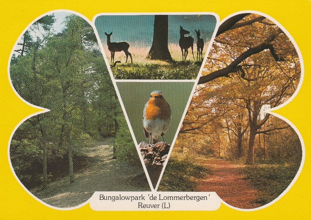 REUVER De Lommerbergen Bungalowpark, Verzenden, 1980 tot heden, Gelopen, Limburg