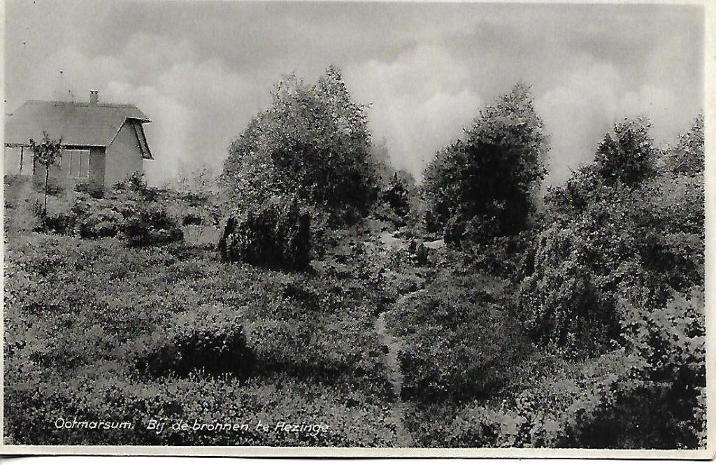 Ootmarsum- -Bij de bronnen te Hezinge., Verzamelen, Ansichtkaarten | Nederland, Verzenden, 1940 tot 1960, Gelopen, Overijssel