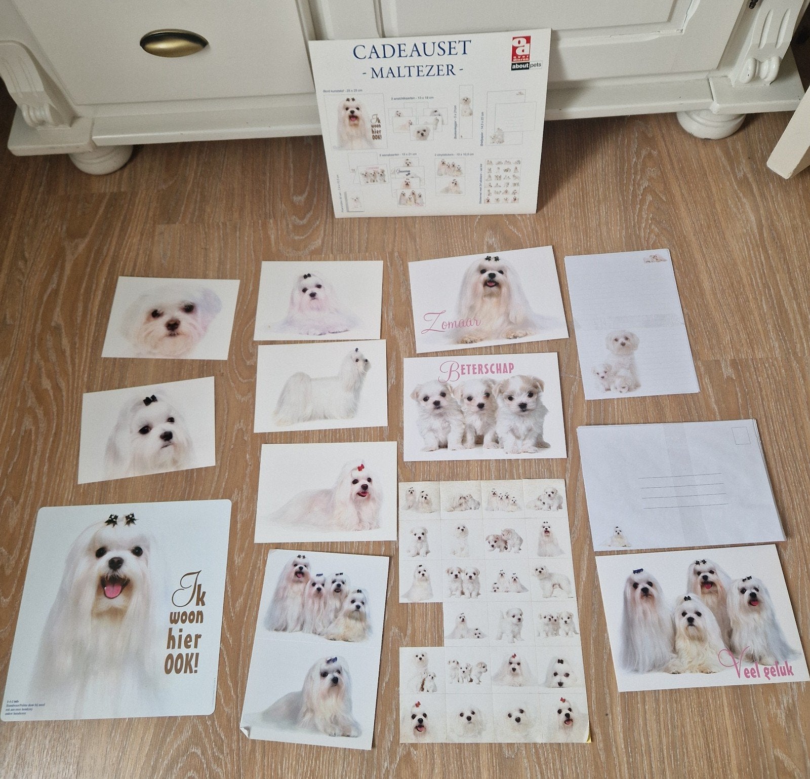 kado set Maltezer, Dieren en Toebehoren, Honden-accessoires, Ophalen of Verzenden, Overige typen