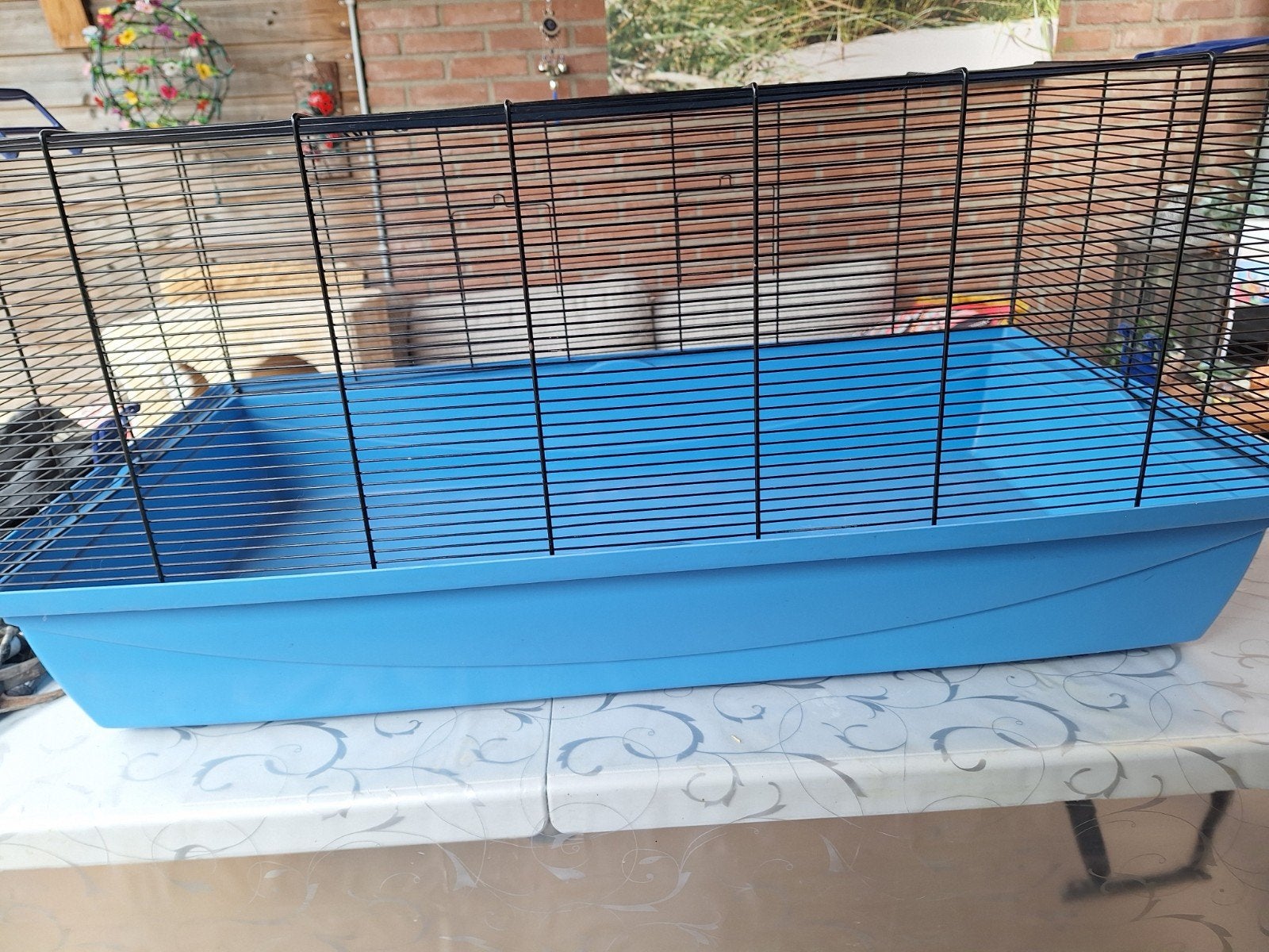 knaagdieren kooi, Kooi, 75 tot 110 cm, Ophalen, Minder dan 60 cm