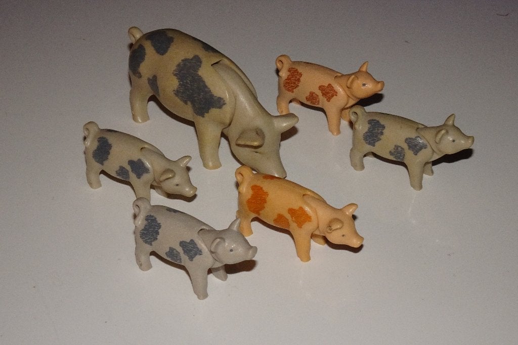 12 - Dieren varkens 6355, Ophalen of Verzenden