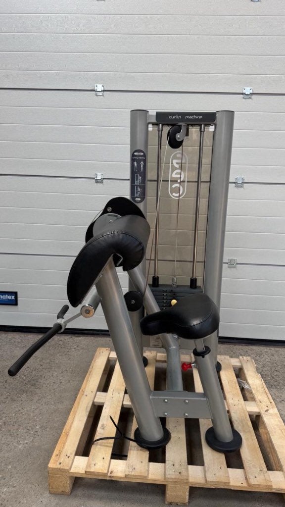 Panatta bicep curl machine / Bizeps/ Bizep, Gebruikt, -, -, Overige typen