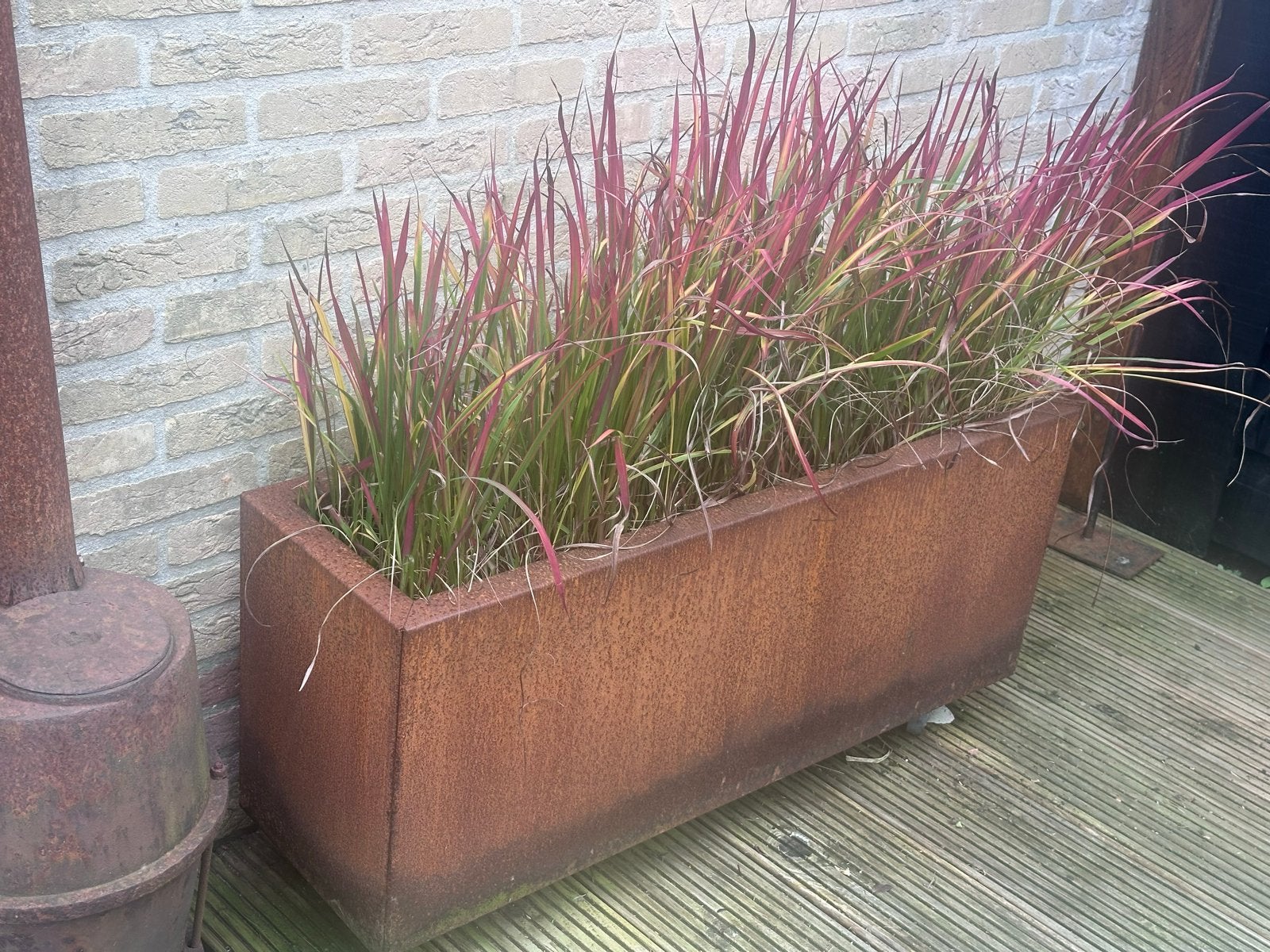 Cortenstaal plantenbak met siergras, Ophalen, Gebruikt, 100 cm of meer, Balkon