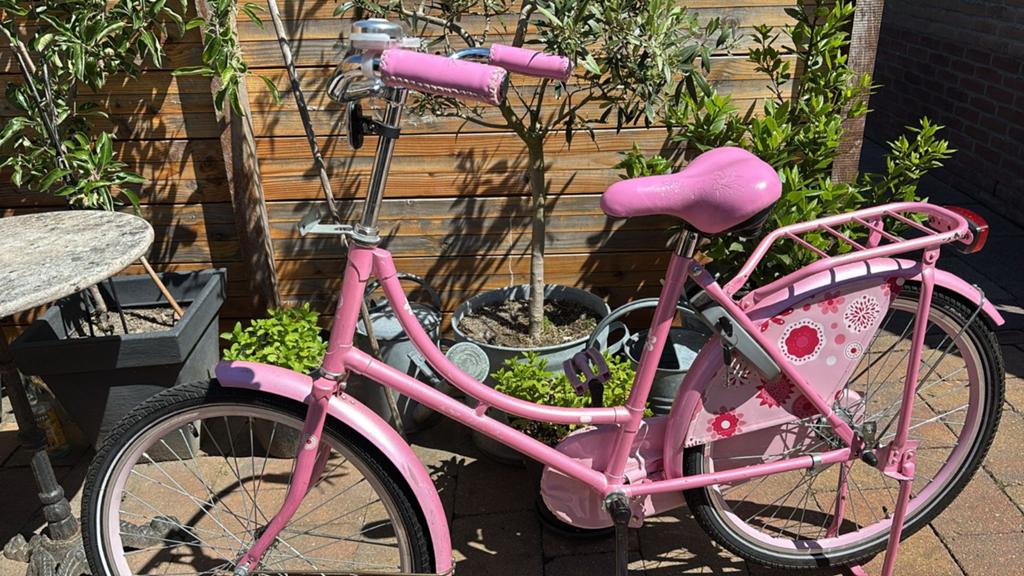 26 inch meisjesfiets, Fietsen en Brommers, Fietsen | Meisjes, Ophalen, Gebruikt, 26 inch of meer