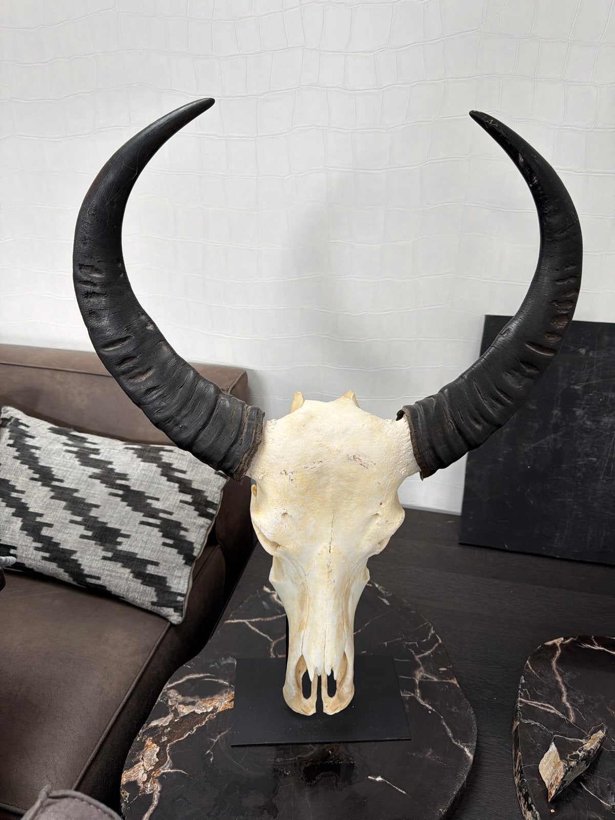 Decoratieve Buffelschedel met Hoorns op Standaard, Ophalen