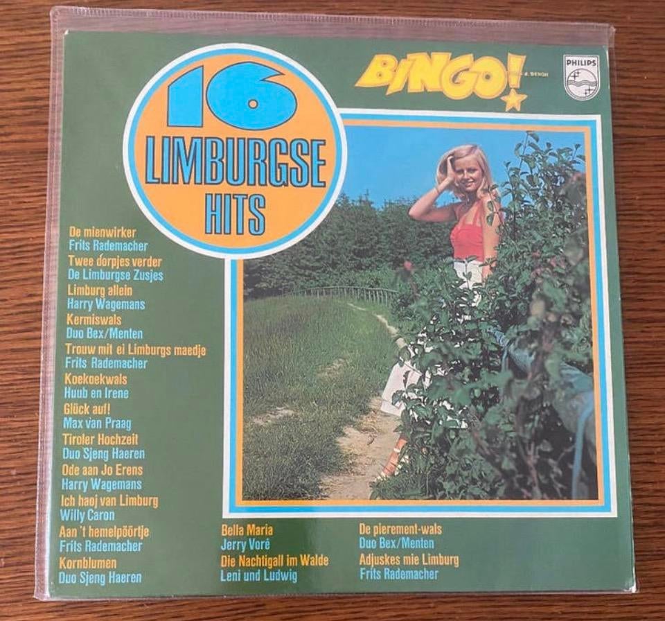 LP 16 Limburgse  Hits Bingo, Ophalen of Verzenden, Zo goed als nieuw, 12 inch