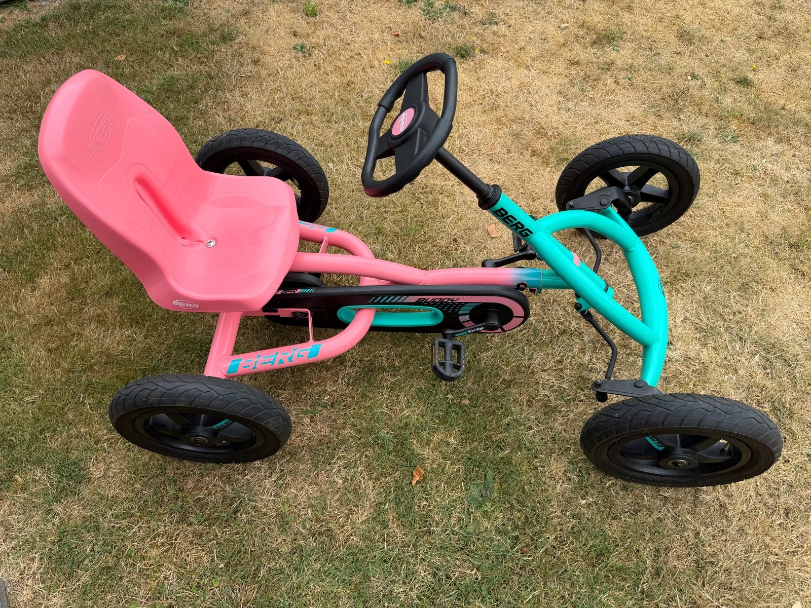 BERG Buddy skelter Roze/Turquoise, Kinderen en Baby's, Ophalen, Zo goed als nieuw, Berg