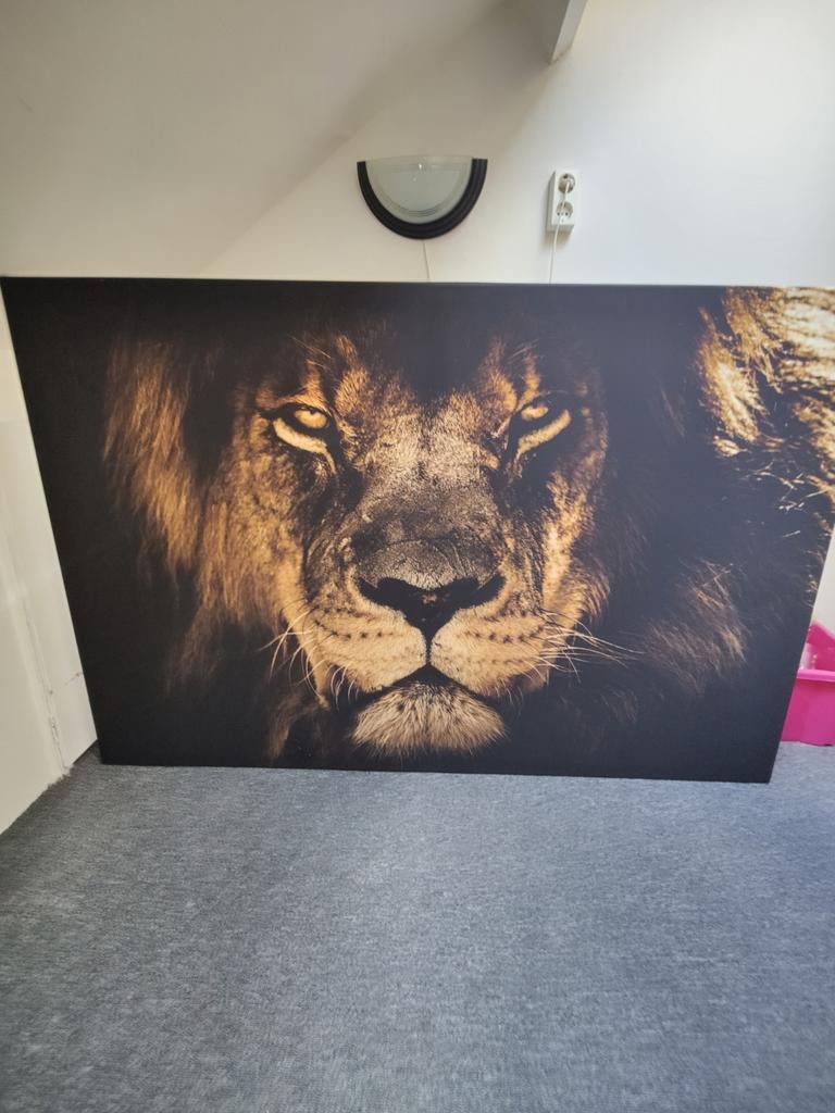 Canvas doek leeuw - indrukwekkende wanddecoratie, Ophalen, Schilderij, 75 cm of meer