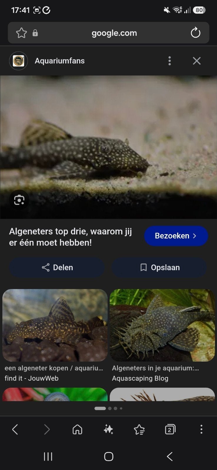 gratis vissen, Vis