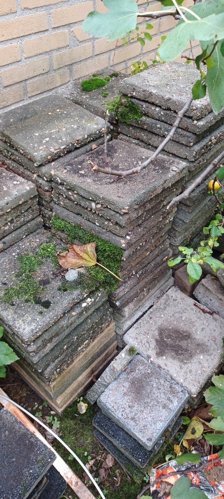 Gebruikte betontegels voor tuin of terras, Ophalen, Gebruikt, 10 m² of meer, Beton
