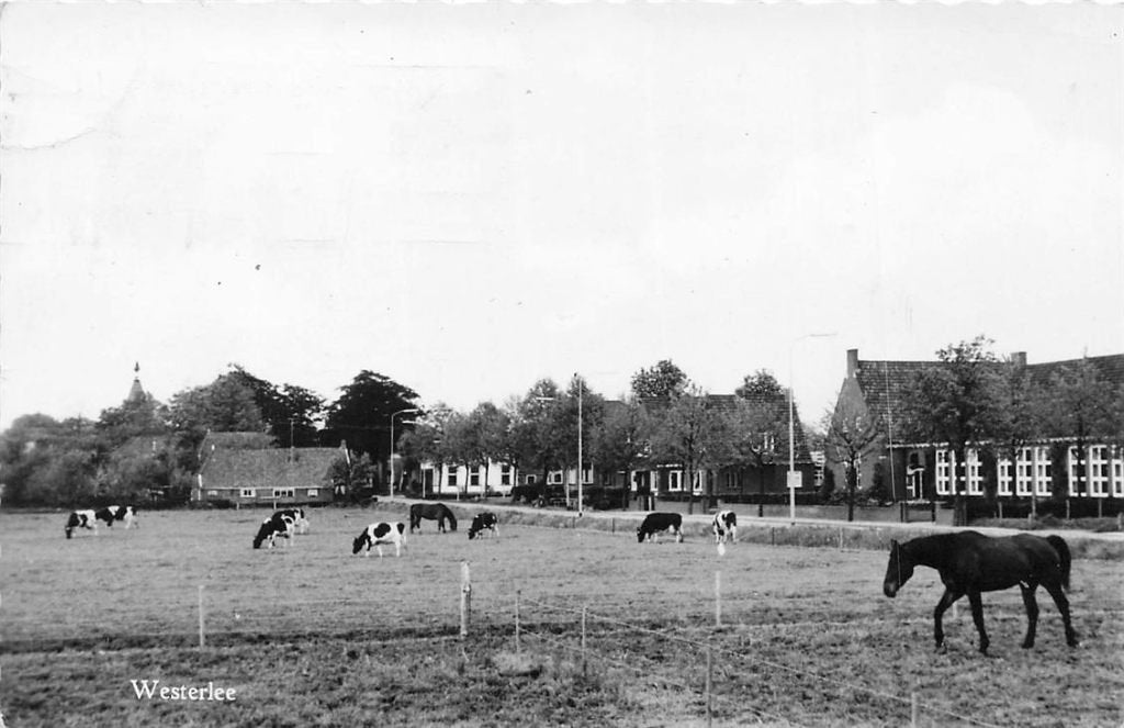 703-487-017 Westerlee, Verzamelen, Verzenden, Voor 1920, Groningen