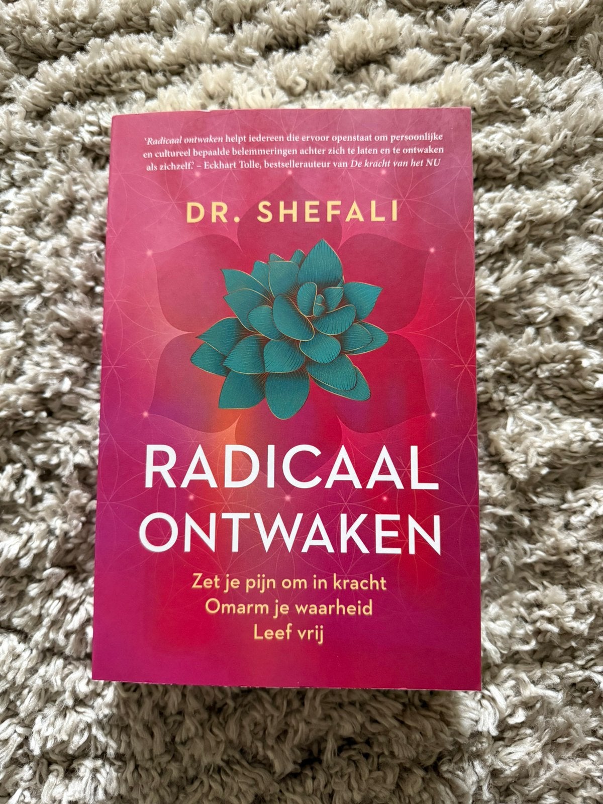 Shefali Tsabary - Radicaal ontwaken, Ophalen, Zo goed als nieuw, Shefali Tsabary