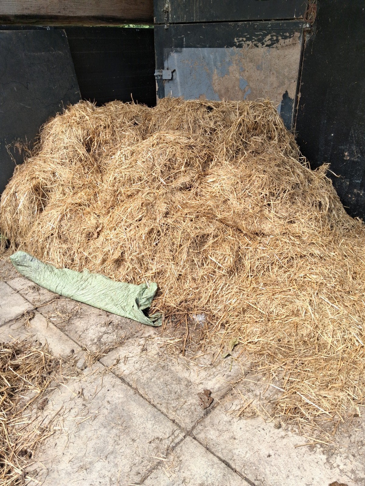 Hooi gebruikt als voer voor paarden. Ophalen in Twello., Ophalen
