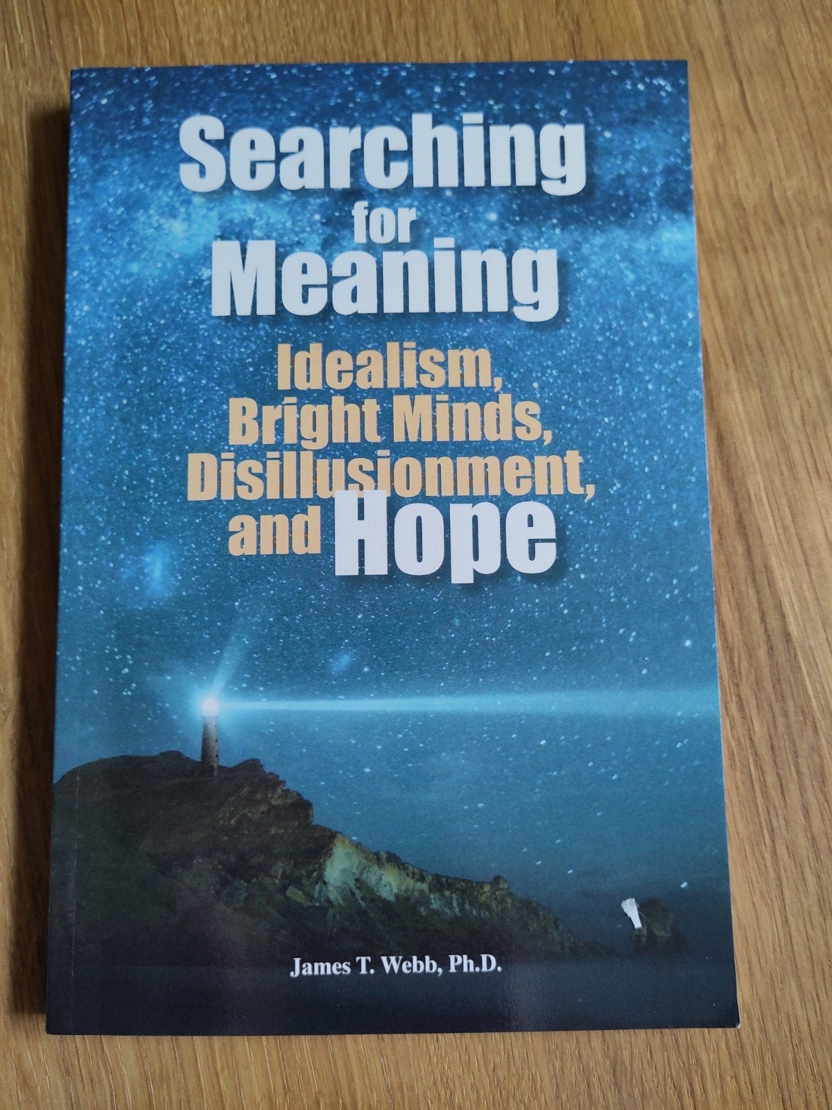 Searching for Meaning: Idealism, Bright Minds, Hope, Boeken, Ophalen of Verzenden, Zo goed als nieuw, Webb